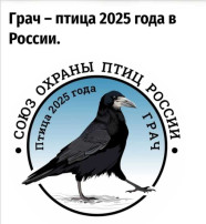 Народный праздник "Грачевник" Народный праздник "Грачевник".